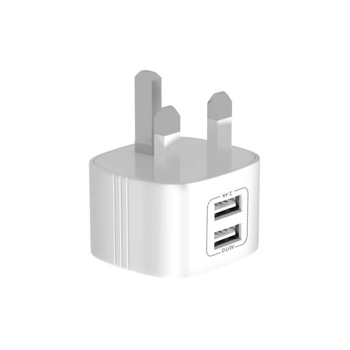 Picture of BWOO UK PLUG DUAL TYPE A PORTS